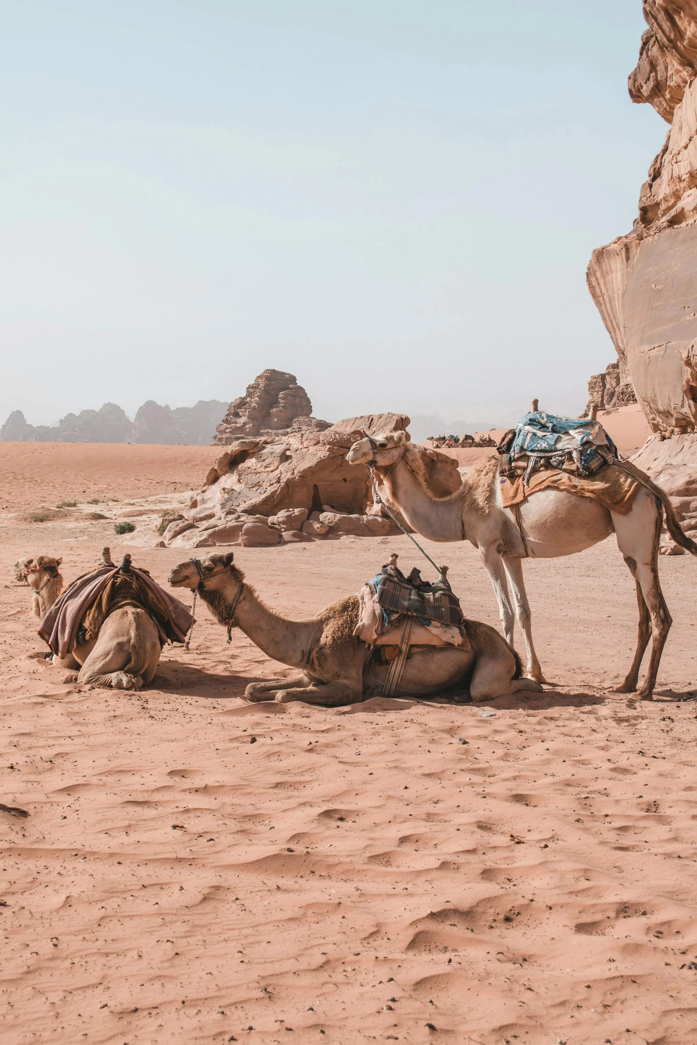 Jordania, foto 4