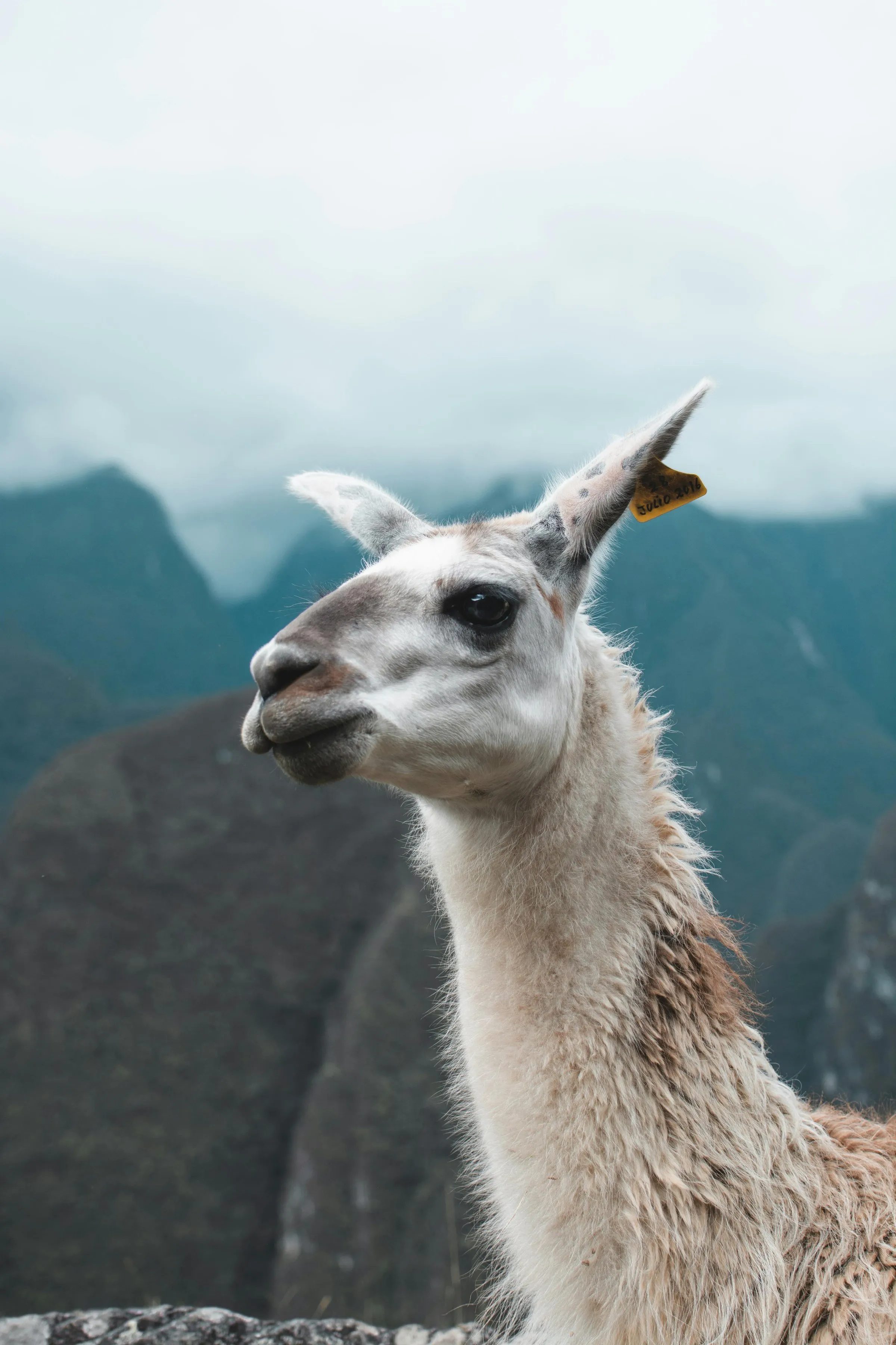 Perú, foto 5