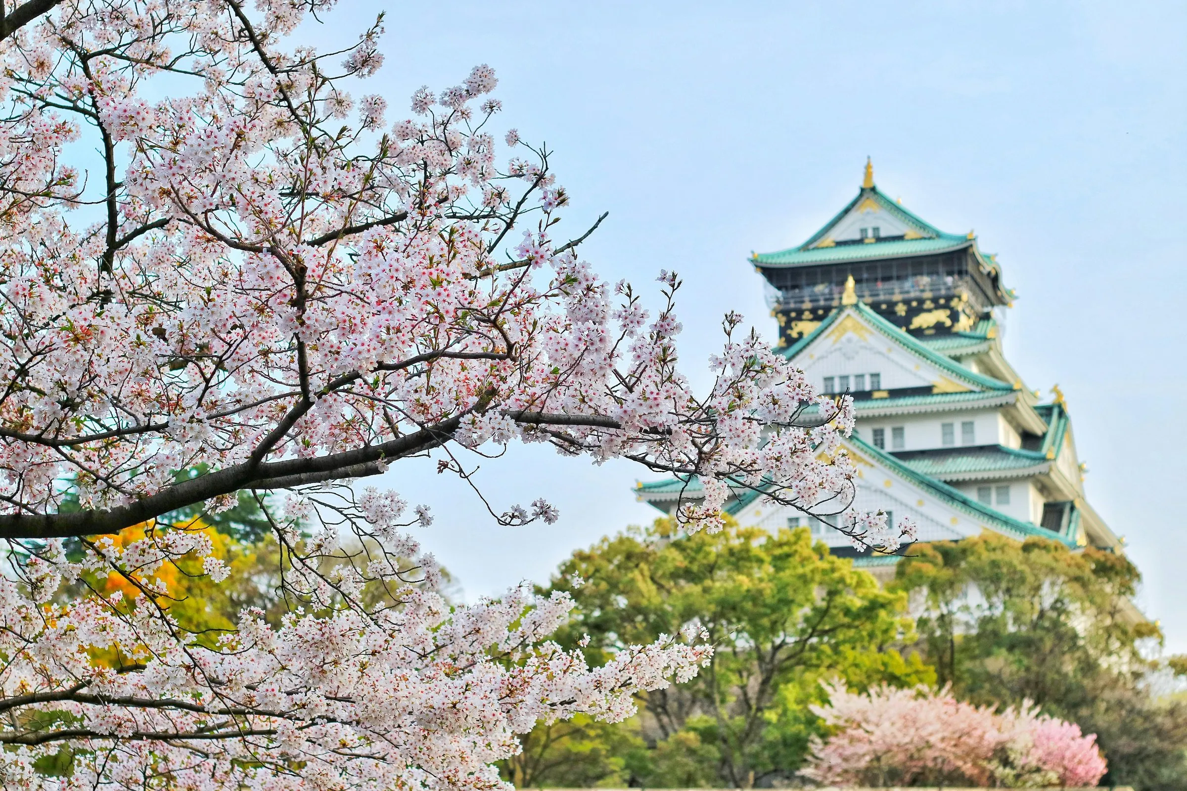 Japón, foto 5