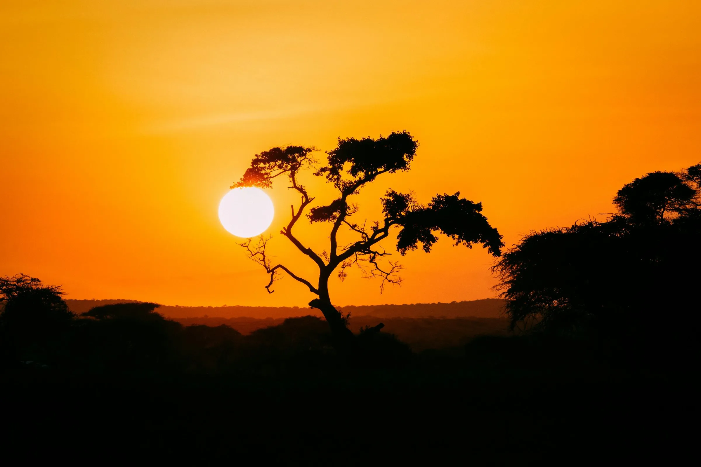 África, foto 2